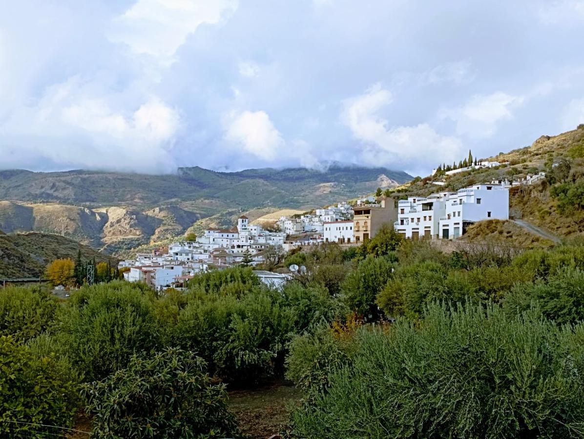 شقة El Almendro De Maruja Torviscón المظهر الخارجي الصورة
